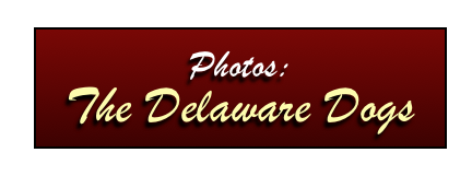 Photos: 
The Delaware Dogs