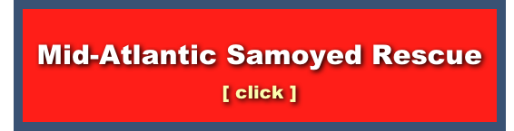
Mid-Atlantic Samoyed Rescue
[ click ]