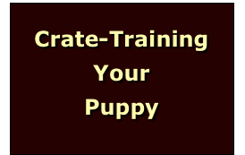 



Crate-Training
Your
Puppy