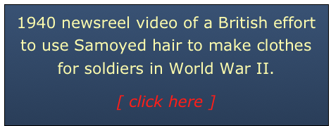 1940 newsreel video of a British effort to use Samoyed hair to make clothes for soldiers in World War II. 



[ click here ]