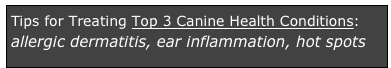 Tips for Treating Top 3 Canine Health Conditions:  allergic dermatitis, ear inflammation, hot spots