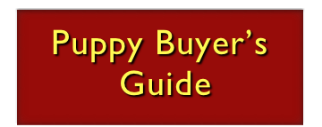 

Puppy Buyer’s
 Guide