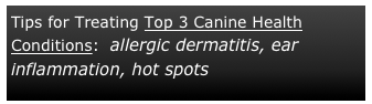 Tips for Treating Top 3 Canine Health Conditions:  allergic dermatitis, ear inflammation, hot spots