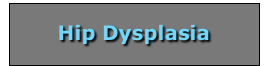  


Hip Dysplasia