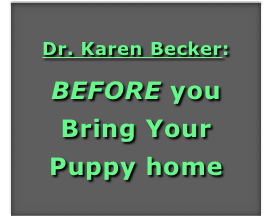 






Dr. Karen Becker: 



BEFORE you Bring Your
Puppy home